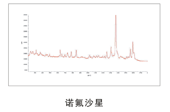 LRS-5  微區(qū)激光拉曼光譜儀