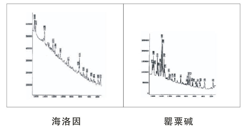 LRS-5  微區(qū)激光拉曼光譜儀