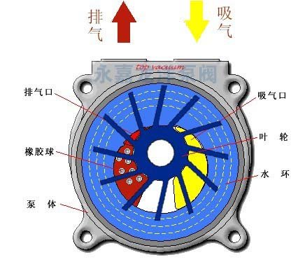 2BV型水環式真空泵的工作原理