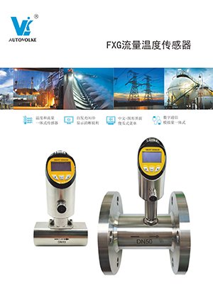 FXG流量溫度傳感器-1.jpg