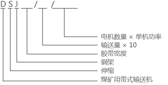 DSJ型帶式輸送機