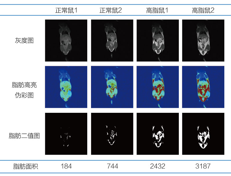 活體體成分2