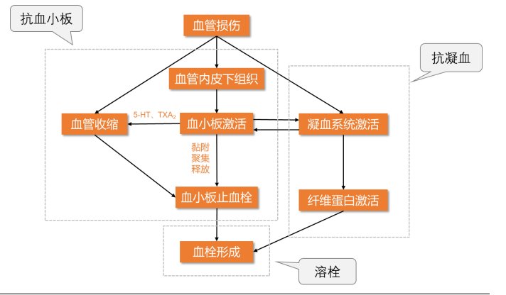 血栓形成機制及抗血栓用藥分類