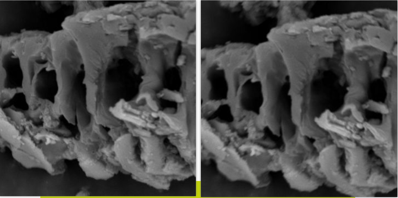 炭材料，掃描電鏡放大倍數(shù) 20000 倍，左邊圖像無像散，右邊圖片有像散