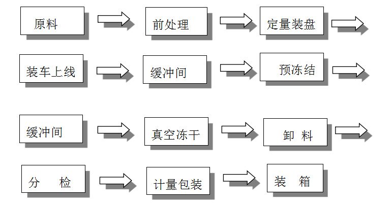 冷凍干燥工藝流程